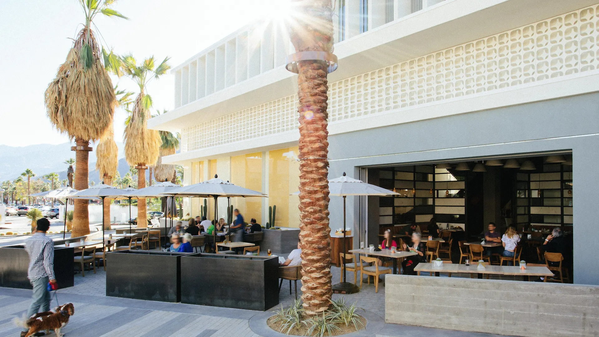 Resort Kimpton Rowan Palm Springs Hotel By Ihg