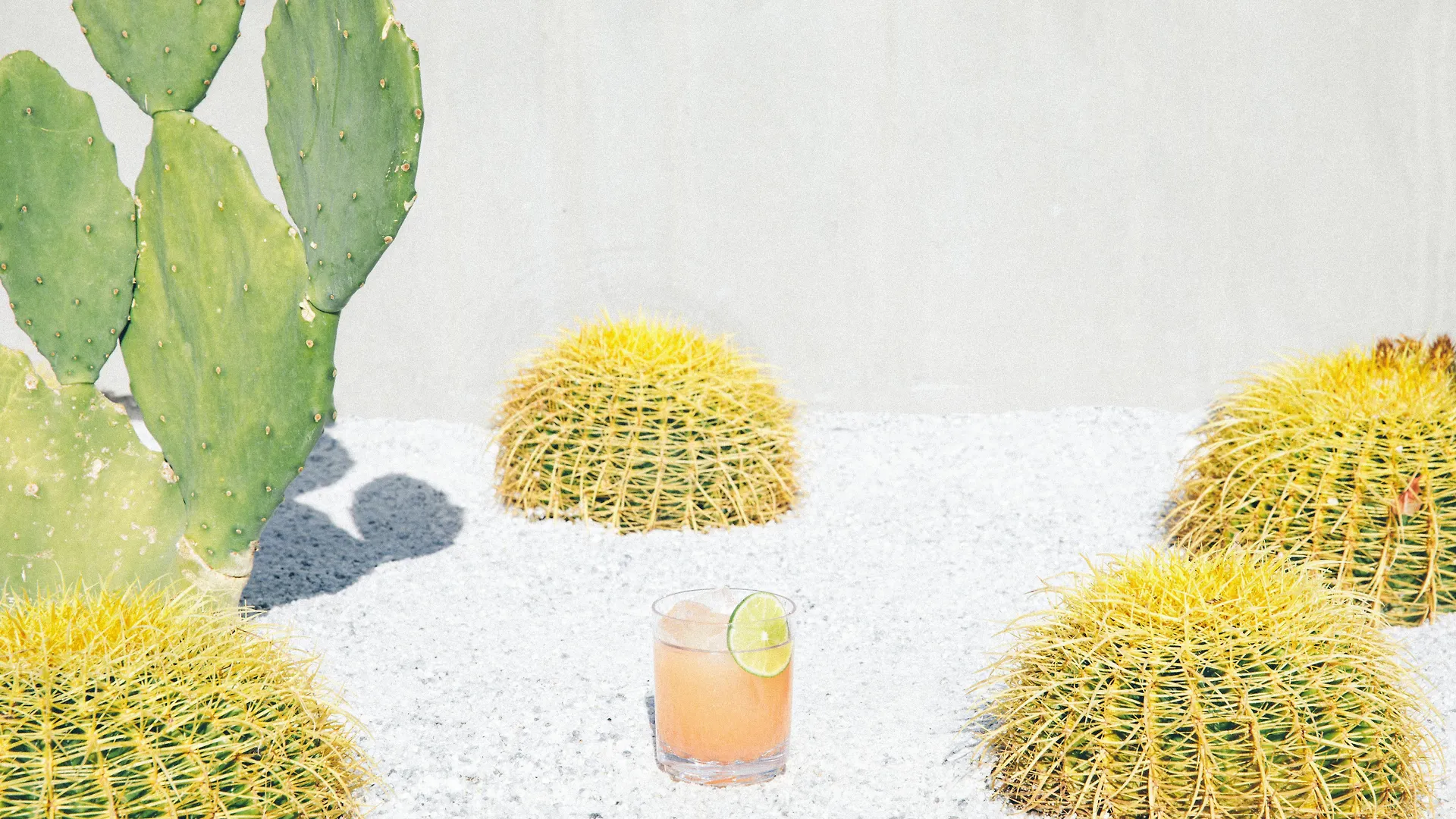 Kimpton Rowan Palm Springs Hotel By Ihg